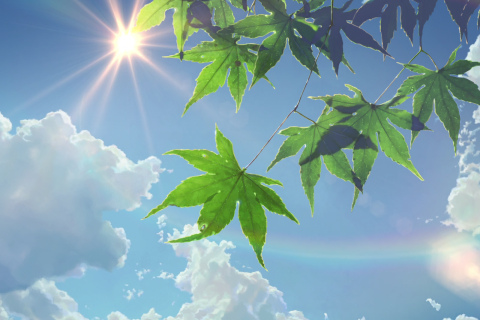 毕业签名句子伤感2018最新 青春兵荒马乱我们潦草分散_QQ签名