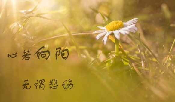 2018最新精选女生伤感签名大全 走近你就走近了痛苦_QQ签名