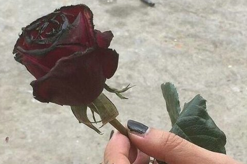 2017qq情感签名女生伤感 最好的自己留给最后的人_QQ签名