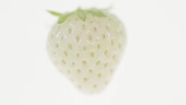 经典伤感歌词签名一句话 你有没有听过有人越简单越快活_QQ签名