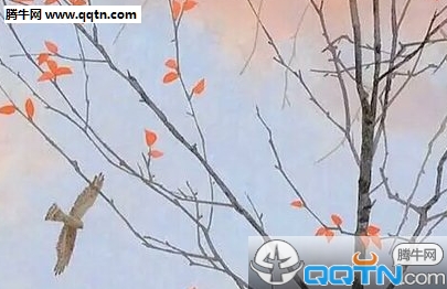 qq个性伤感签名男生 骑士总会救出公主_QQ签名
