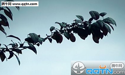 qq个性伤感签名男生最新版 我们一直都在各奔东西_QQ签名