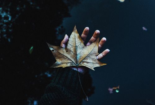 留不住的人像阵风遇见就离开 心酸的qq伤感个性签名2015_QQ签名