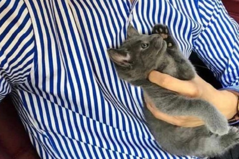 qq给男朋友的备注逗比搞笑 小猪佩奇我配你_QQ网名