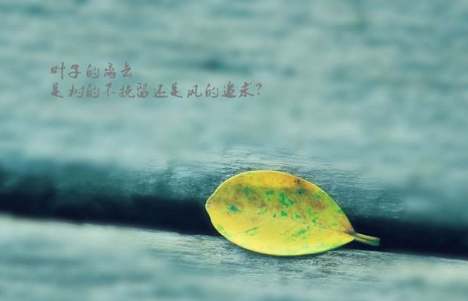 2018内心忧伤有点想哭的女生微信名字 涼了时光伤了心_QQ网名