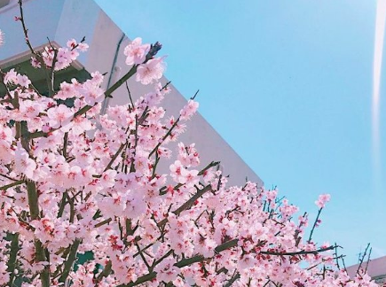 简洁的微博网名女生带小清新风格 夏天碎花小短裙_QQ网名