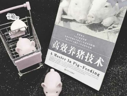 超可爱超萌的微博昵称萌萌哒少女 栅栏下的折耳仙女_QQ网名