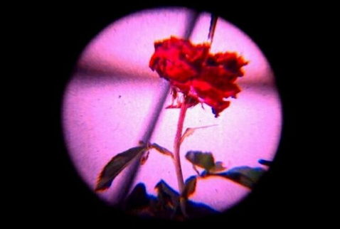快手网名独一无二的那种霸气女 做自己的女王_QQ网名
