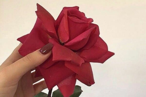 伤感网名女生冷淡超拽2018最新版 隔了一个世纪的荒芜_QQ网名
