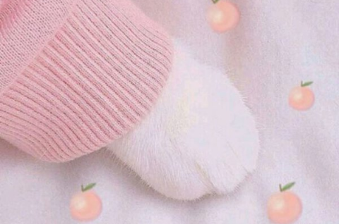 2018女生游戏网名可爱萌二次元 适合女生的游戏名字大全_QQ网名
