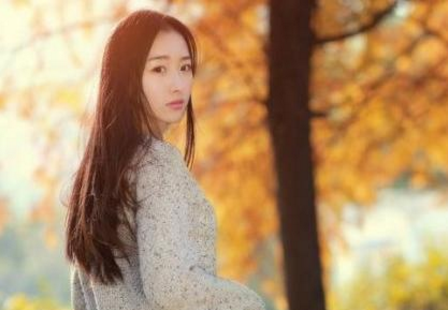 微信名字女生优雅浪漫2018最新版本 淡写薰衣草的香_QQ网名