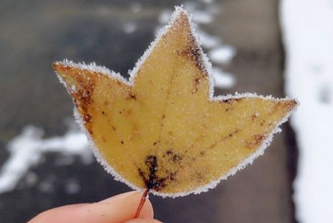 简单好听的微信网名男成熟一点的 成熟稳重的男生版微信网名_QQ网名