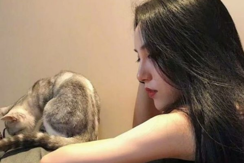 简单的微博网名女生文艺范2018最新 起司奶香猫_QQ网名