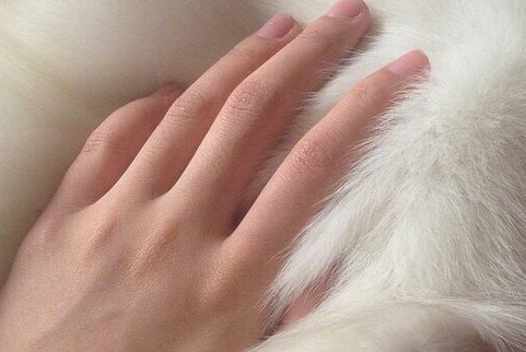 最新可爱的女生微博个性网名 女生萌萌的个性网名_QQ网名