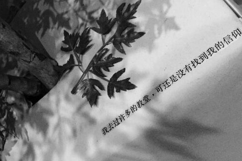 最经典好听的qq个性网名女生 静已思之愈浓_QQ网名