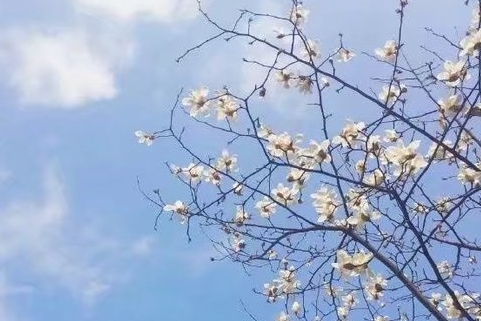 2017有内涵的简短网名女生 两个字或三个字的网名最新_QQ网名