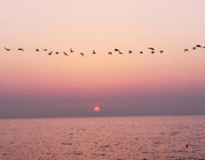 七夕孤单说说心情短语大全2018 七夕节一个人过的伤感微信说说_QQ说说