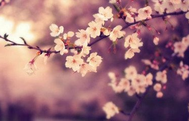 有个性的伤感说说大全精选 人活一世笑就要大声的笑_QQ说说