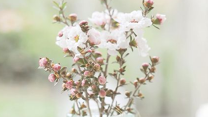 和爱情有关的那些伤感说说 没有什么谁不能没有谁_QQ说说