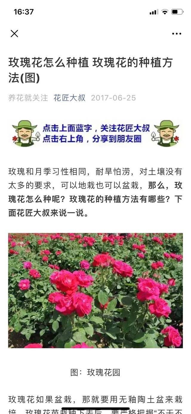 玩转微信SEO引流不断玩转微信SEO引流案例实操