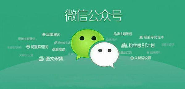微信生态圈营销分析，微信营销模式的情况_网络推广_超级蜘蛛池