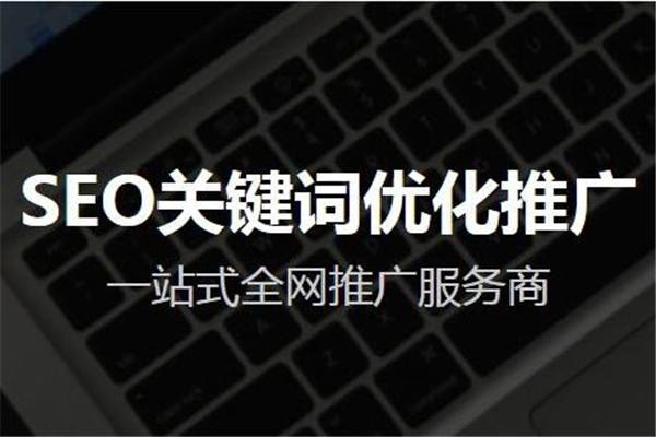 万词霸屏和SEO优化有什么区别？_网络推广_超级蜘蛛池