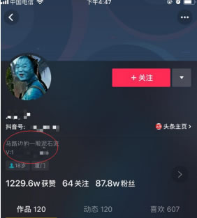 打造一套引流运营推广体系_网络推广_超级蜘蛛池