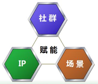 1581948670989738.jpg 1.jpg