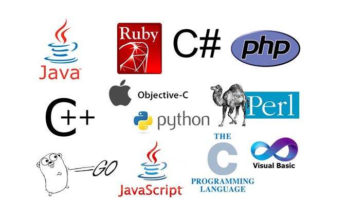 黑客入门指南,学习黑客必须掌握的技术 黑客入门指南,学习黑客必须掌握的技术