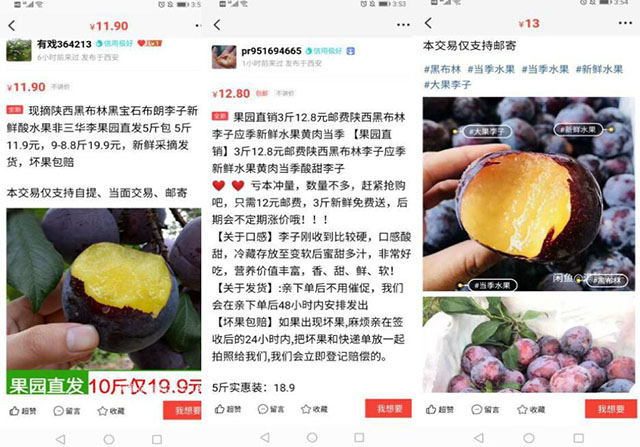 小白轻松月入10000+的闲鱼玩法
