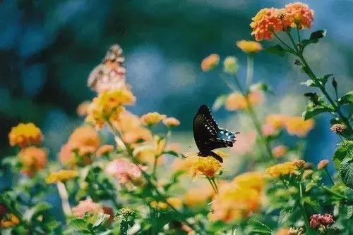 人生,就是一场折腾