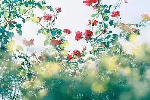 人生,就是一场折腾