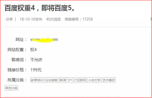 站长另类赚钱项目玩法