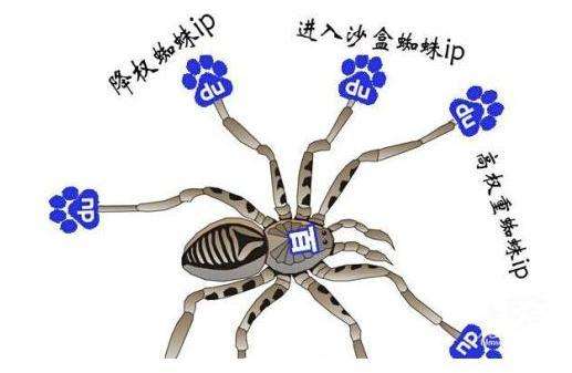 搜索引擎百度蜘蛛详解，百度蜘蛛IP分析_蜘蛛技巧_超级蜘蛛池