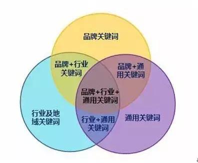 SEO关键词挖掘技巧，如何挖掘精准流量关键词_蜘蛛技巧_超级蜘蛛池