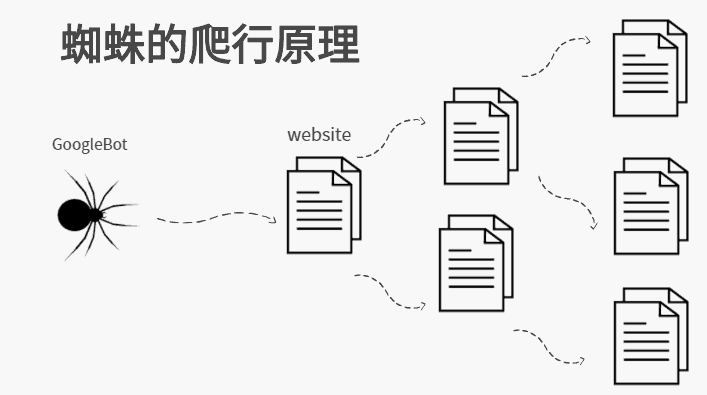搜索引擎蜘蛛是如何判断网站是否优质? 搜索引擎蜘蛛是如何判断网站是否优质?