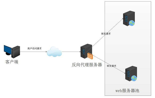 nginx反向代理, PHP获取客户端真实ip_蜘蛛技巧_超级蜘蛛池