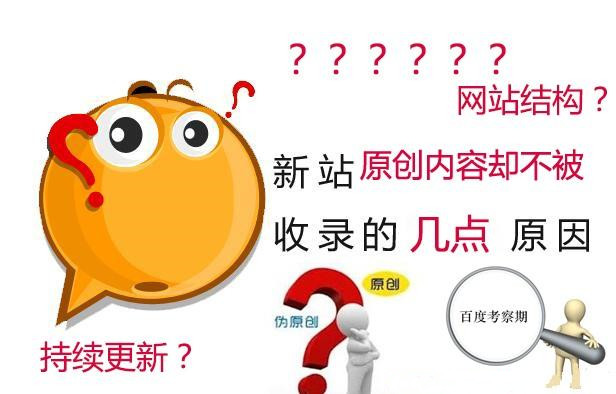 网站不收录或收录慢的原因？