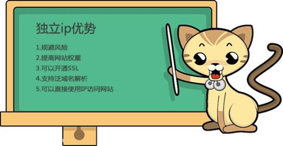 网站SEO使用独立IP比共享IP会更好吗？