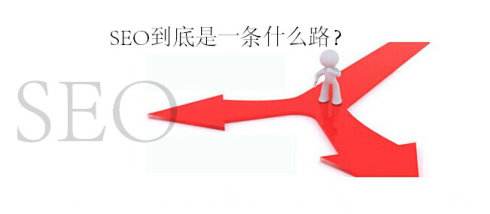 SEO技术用在什么行业比较好？_蜘蛛技巧_超级蜘蛛池