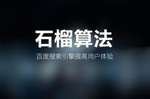 盘点百度搜索引擎相关算法，你“中雷”了吗？_蜘蛛技巧_超级蜘蛛池