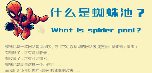 什么是蜘蛛池,详解蜘蛛池的外推方法与技巧 什么是蜘蛛池,详解蜘蛛池的外推方法与技巧