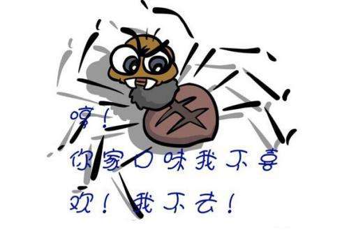 站壳_文章/https://mtk-1301787553.cos.ap-guangzhou.myqcloud.com/2020/06/1593320273-1c5a739ee94ca03.jpg 2.jpg