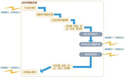 Web服务器、应用服务器、Web容器、反向代理服务器区别_蜘蛛技巧_超级蜘蛛池