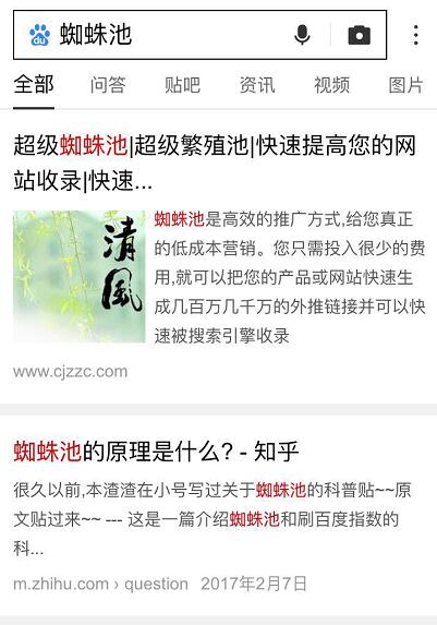 超级蜘蛛池之“闪电算法”解读_蜘蛛技巧_超级蜘蛛池