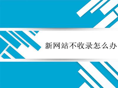 超级蜘蛛池之网站上线一个月了怎么没收录？