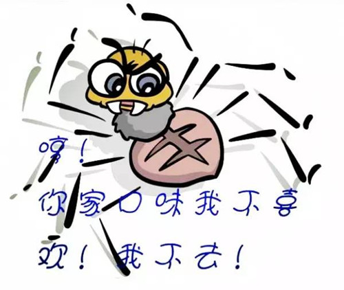 SEO的秘密:一只百度蜘蛛的独白 SEO的秘密:一只百度蜘蛛的独白