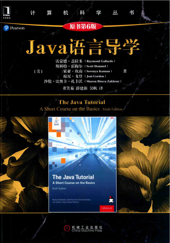 Java语言导学（原书第6版） 中文pdf