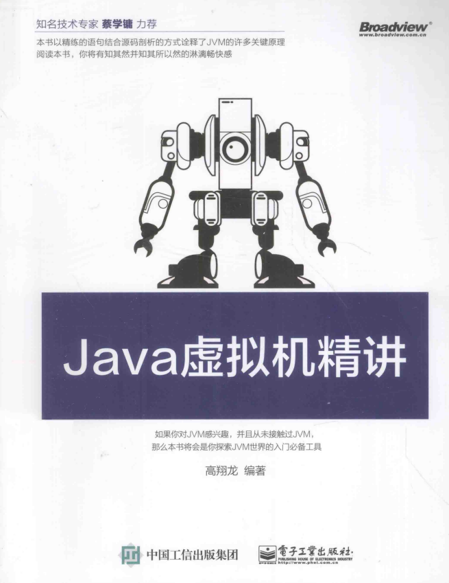 Java虚拟机精讲 （高翔龙著） 带书签目录 中文