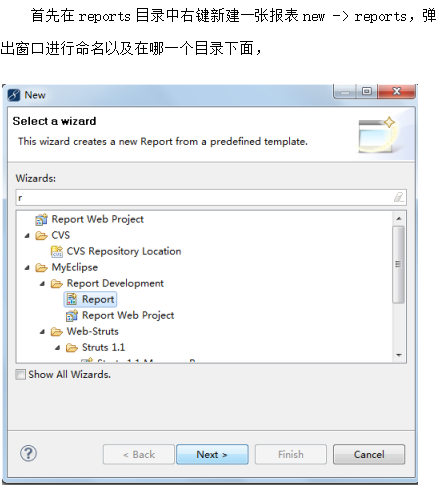 Birt 开发文档 中文